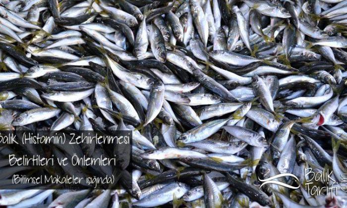 Balık (Histamin) Zehirlenmesi Hakkındaki Gerçekler