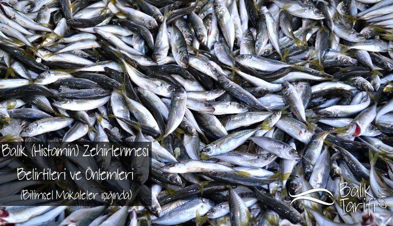 Balık (Histamin) Zehirlenmesi Hakkındaki Gerçekler, Belirtileri ve önlemleri