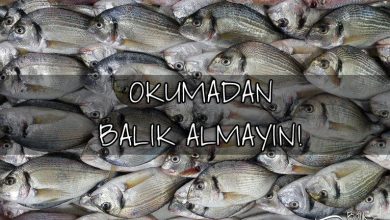 Taze balık nasıl anlaşılır? Taze ve bayat balık arasındaki farklar