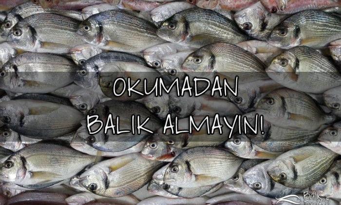Balığın Tazeliği Nasıl Anlaşılır?