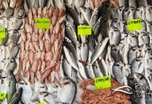 Besin değeri tablosuna göre hangi balık yenmeli