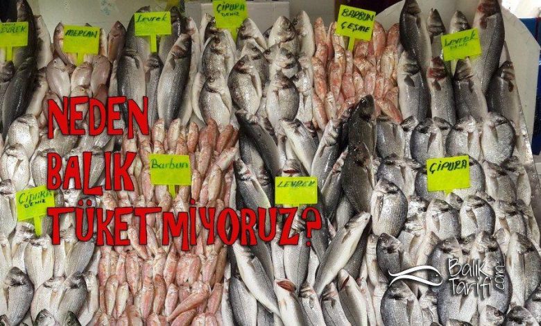 neden balık tüketmiyoruz? Türkiye ve dünyada yıllık balık tüketimi