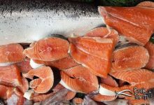 Somon balığı fiyatı nedir? Neye göre değişir?