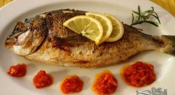 Tavada Çipura Tarifi – Domates Soslu