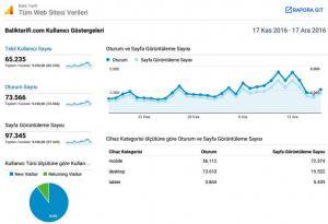 Baliktarifi.com sitesi ziyaretçi sayıları