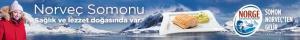 Norveç Somonu - Norge - Norveç deniz ürünleri