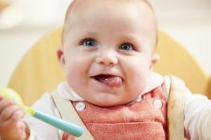 bebek ve balık rehberi