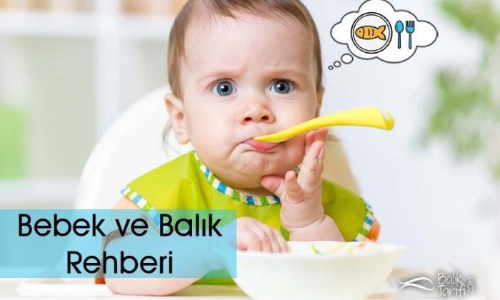 Bebek ve Balık Rehberi
