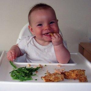 blw yöntemi ile balık yedirme