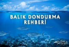 Balık dondurma ve çözdürme rehberi