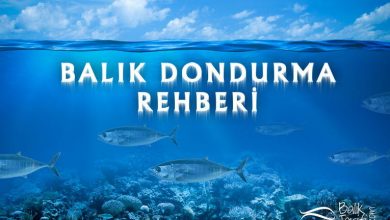 Balık dondurma ve çözdürme rehberi