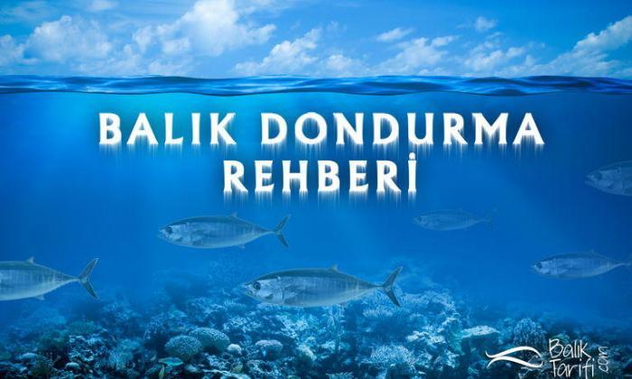 Balık Nasıl Dondurulmalı?