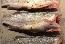 Fırında yağlı kağıtta levrek tarifi