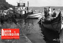 Balık ve balıkçılık dergileri arşivi