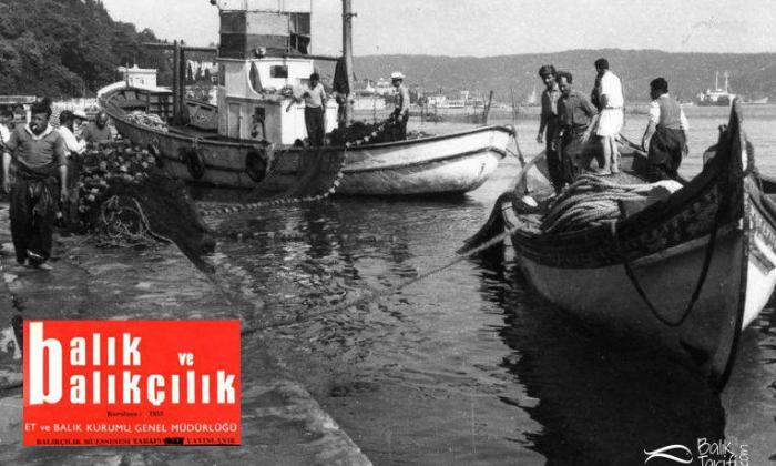 Balık ve Balıkçılık Dergileri Arşivi
