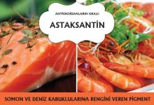 Astaksantin güçlü bir antioksidan somon ve karides gibi deniz canlılarına rengini verir