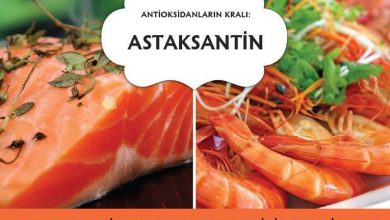 Astaksantin güçlü bir antioksidan somon ve karides gibi deniz canlılarına rengini verir