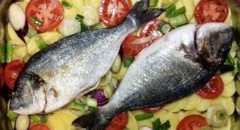 Fırında Patatesli Çipura Tarifi