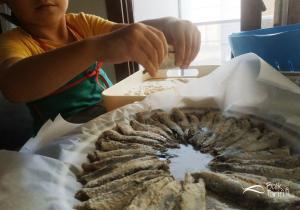 Yağlı kağıtta kokusuz hamsi tava tarifi